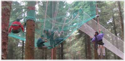Dmonstration et initiation  la grimpe d'arbre. Animations accessibles aux personnes atteintes d'un handicap.