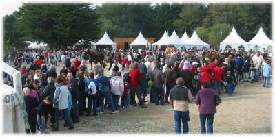 Il fallait faire la queue pour la promenade en calche