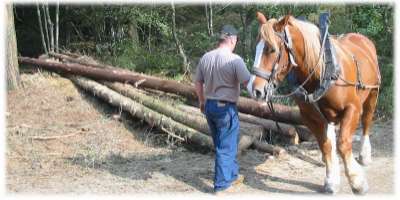 Dbardage  cheval quand aucun engin ne peut passer.